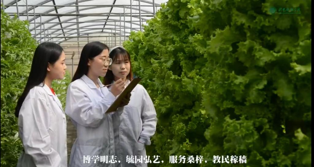 英国365公司官网招生宣传短片