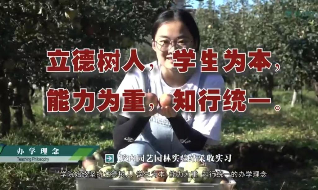 英国365公司官网宣传片